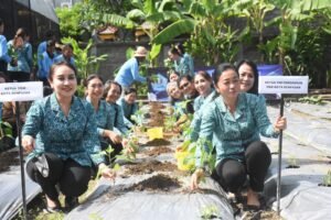 Lakukan Tanam Cabai Serentak, Ketua TP. PKK Kota Denpasar Dukung Penurunan Inflasi di Kota Denpasar