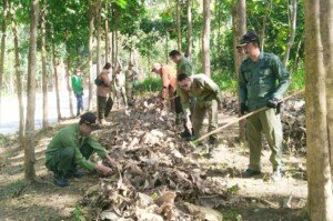 Musim Kemarau, Perhutani KPH Tuban Keluarkan Imbauan Kepada Masyaraka