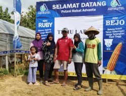 PT Advanta Seeds Indonesia Gelar Field Trip Bersama Kelompok Tani Desa Brati, Kayen