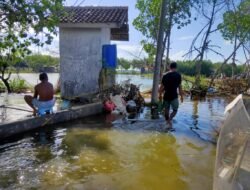 Dua Bulan Terendam, Warga Desa Tunggulsari Pati Harap Pemkab Segera Tangani Rob