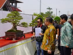 Pati Jadi Tuan Rumah Kontes Bonsai Nasional, Bupati Dorong PPBI Go Internasional