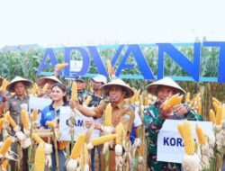 Advanta Seeds Indonesia Perkenalkan Benih Unggul di Blora, Petani Antusias Lihat Hasil Panen