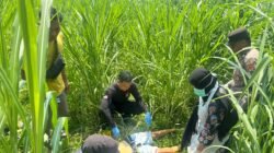 Penemuan Mayat dengan Luka Sayat Gegerkan Warga Desa Sekuping